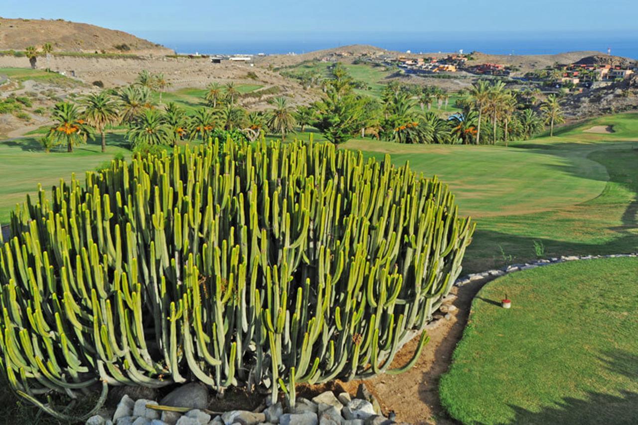 Salobre Las Terrazas 10 Maspalomas  Luaran gambar